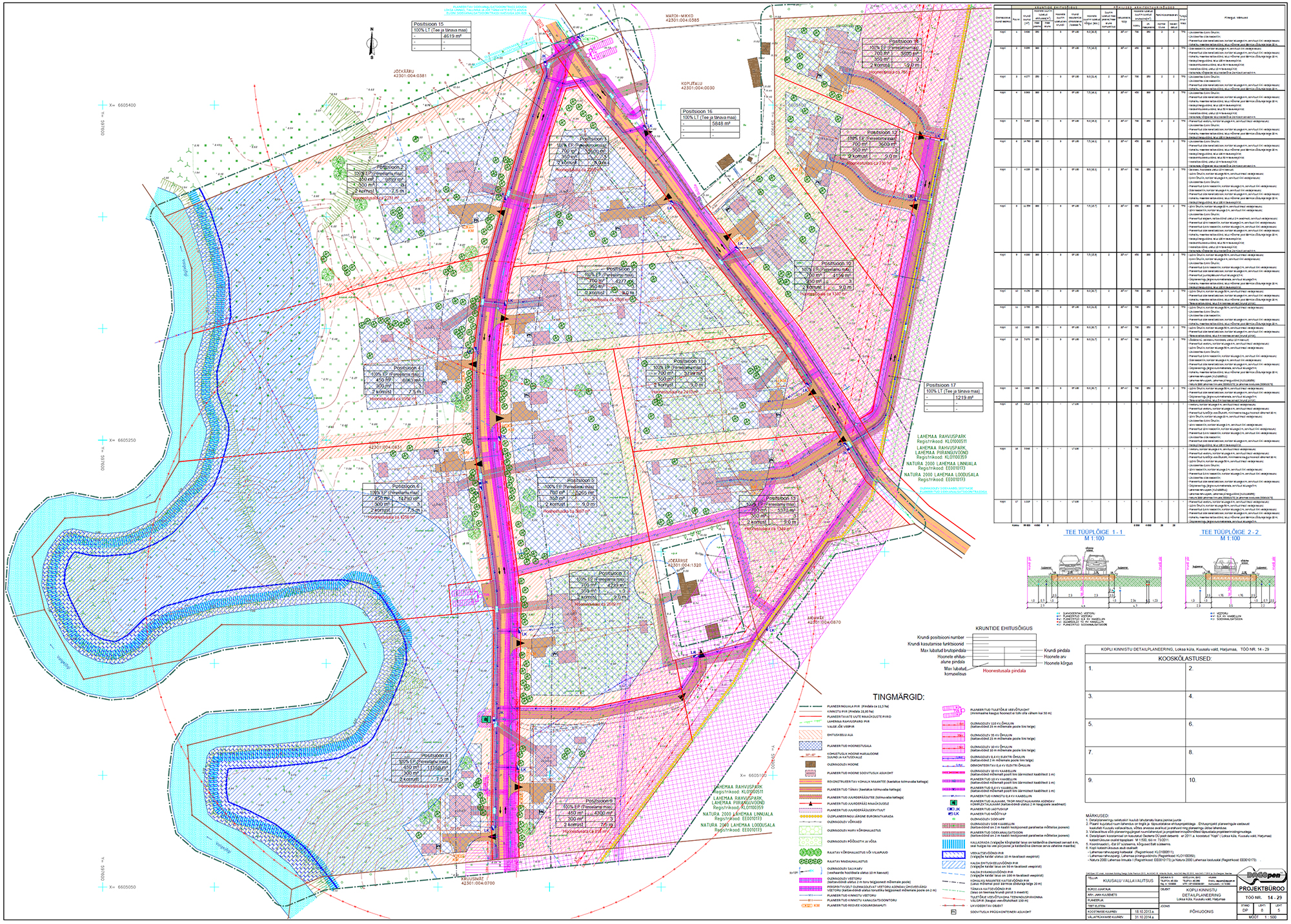 Detailed plan for Kopli property